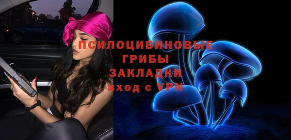 ешки Алзамай
