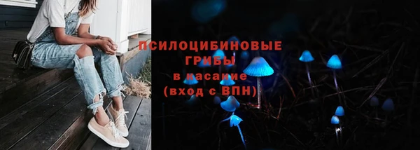 spice Алексин