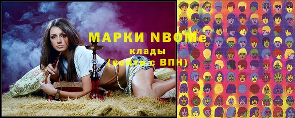 шишки Дмитровск